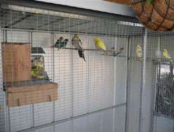 Yarragon Motel - Rent Accommodation 1