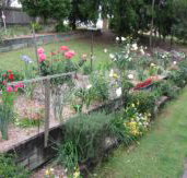 Kintail Homestay - Rent Accommodation