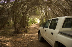 Nampara Cabins - Rent Accommodation 1