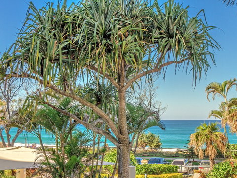 AA Oceana On Broadbeach - Rent Accommodation 17