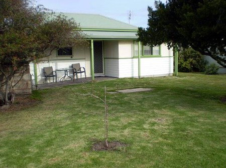 Tobruk Cottage - Rent Accommodation 1