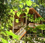 Rivers Edge Rainforest Retreat - Rent Accommodation