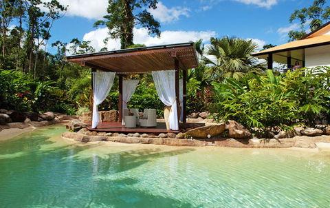 Misty Mountains Tropical Rainforest Romantic Retreat - Rent Accommodation 1