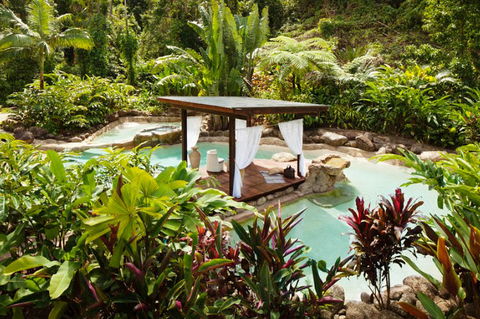 Misty Mountains Tropical Rainforest Romantic Retreat - Rent Accommodation 3
