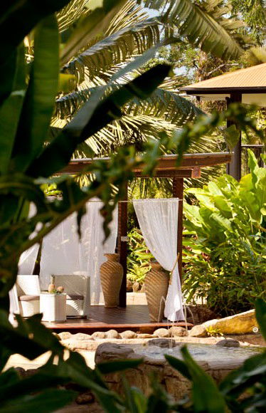Misty Mountains Tropical Rainforest Romantic Retreat - Rent Accommodation 4