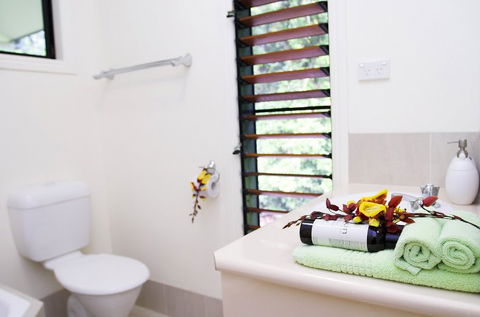 Misty Mountains Tropical Rainforest Romantic Retreat - Rent Accommodation 5