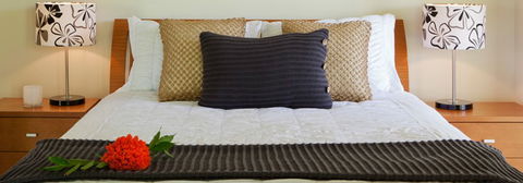 Misty Mountains Tropical Rainforest Romantic Retreat - Rent Accommodation 7