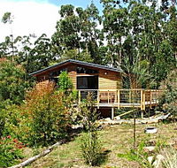 Southern Forest Accommodation - Rent Accommodation