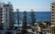 Pandanus Mooloolaba - thumb 4