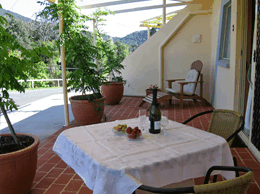 A View Of Mt Warning Bed And Breakfast - Rent Accommodation 2