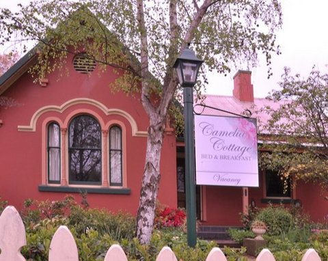Camelia Cottage - Rent Accommodation 3