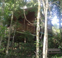 Adjinbilly Rainforest Retreat Cabins - Rent Accommodation