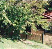 Apple Tree Cottage - Rent Accommodation