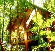 The Canopy Treehouses - Rent Accommodation
