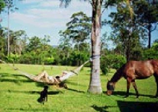 Clybucca NSW Rent Accommodation