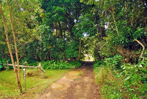 Wompoo Cottage - Rent Accommodation 0