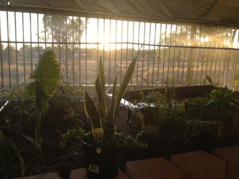 Cityside Accommodation | Mt Isa - Rent Accommodation 5