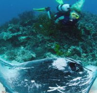 Heron Island Resort - Rent Accommodation