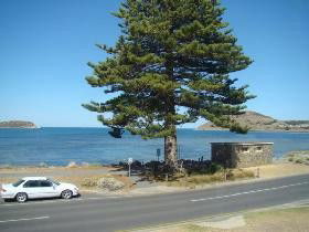 Oceanview - Rent Accommodation 0