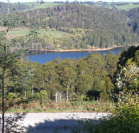 Charlyn Lodge - Rent Accommodation