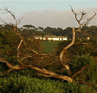 Black Rock Retreat - Rent Accommodation