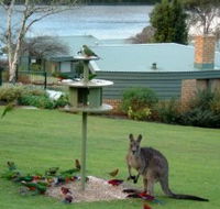 Gipsy Point Lakeside - Rent Accommodation