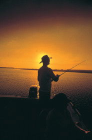 Point Stuart Wilderness Lodge - Rent Accommodation 0