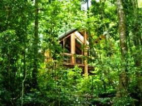 Fur'N'Feathers Rainforest Tree Houses - Rent Accommodation 0