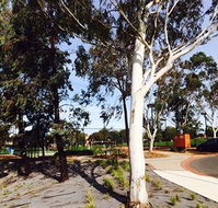 Box Hill Studios at Canterbury Gardens - Rent Accommodation