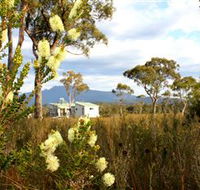 Buttongrass Retreat - Rent Accommodation