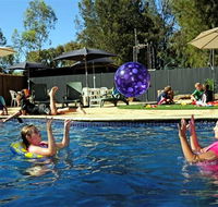 Kingston On Murray Caravan Park - Rent Accommodation