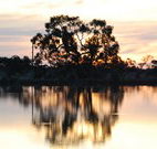 Myuna Bay Sport and Recreation Centre - Rent Accommodation