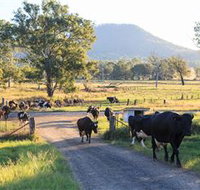 Tommerups Dairy Farmstay - Rent Accommodation