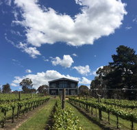 Mortimer's Accommodation amongst the Vines - Rent Accommodation
