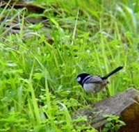 Morialta Bed And Breakfast - Rent Accommodation