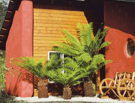 Whispering Spirit Cottage  Miniature Pony Stud - Rent Accommodation