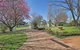 Willowood - thumb 3