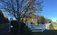 Willowood - thumb 6