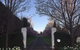 Willowood - thumb 7