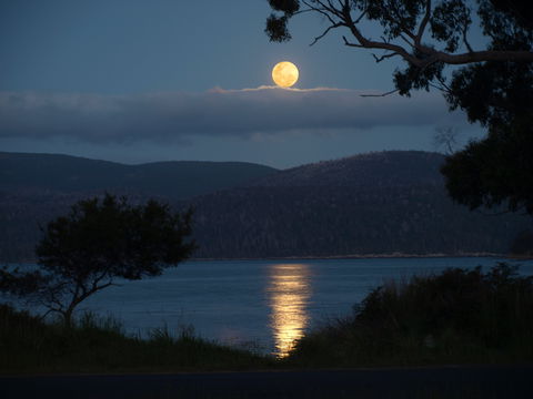 Burilda Waters - Rent Accommodation 4