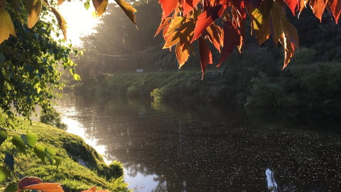 Forth River Cottage - Rent Accommodation 4