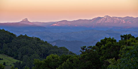 O'Reilly's Rainforest Retreat - Rent Accommodation 1