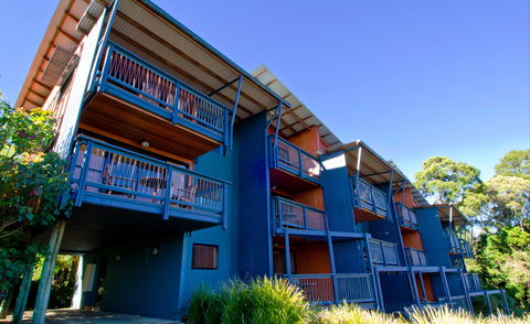 O'Reilly's Rainforest Retreat - Rent Accommodation 7