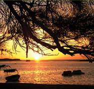 Pelican's Nest - Rent Accommodation