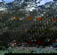 Billabong Retreat - Rent Accommodation