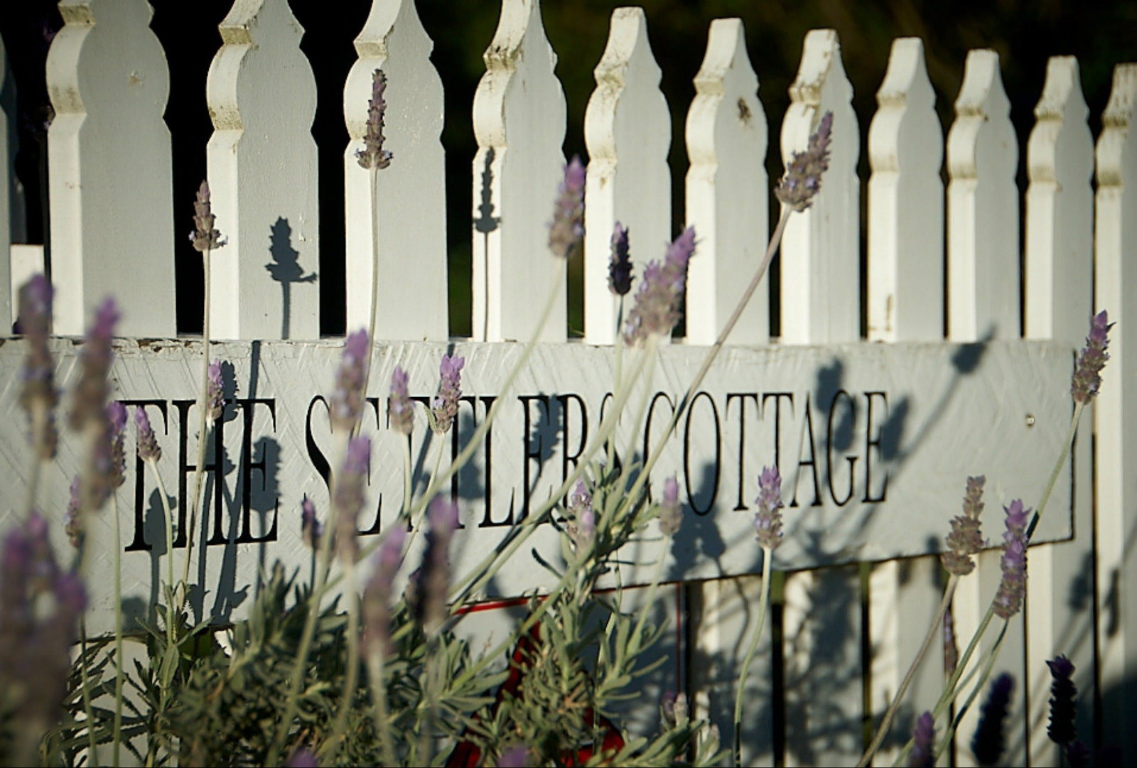 Spring Hill ACT Rent Accommodation