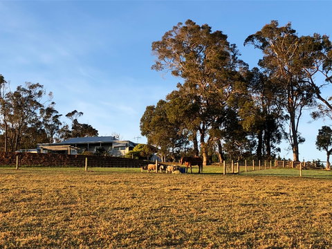 Great Southern Outback Tours & Accommodation - Rent Accommodation 2