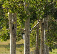 Stringybark Cottages - Rent Accommodation