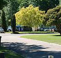 Mitchell Gardens Holiday Park - Rent Accommodation