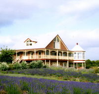 Serendipity Lavender Farm - Rent Accommodation